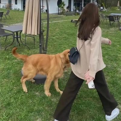 化妆间那些事