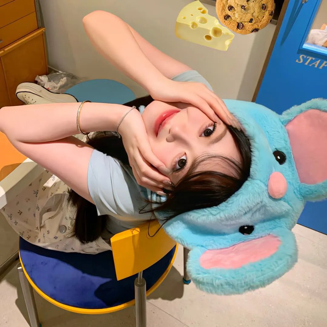 金车美人