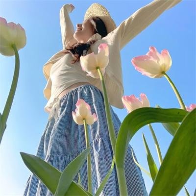 大象席地而坐